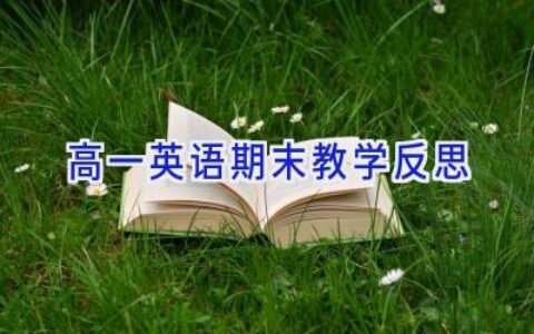 高一英语期末教学反思
