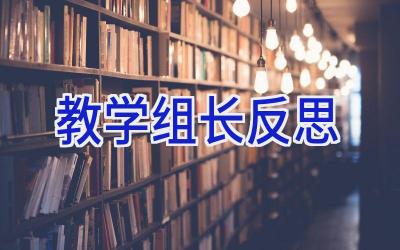 教学组长反思