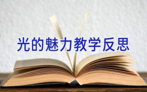 光的魅力教学反思