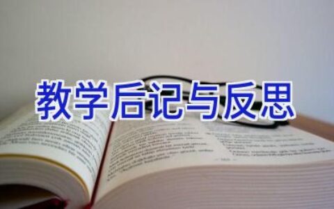 教学后记与反思