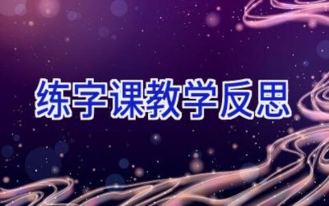 练字课教学反思