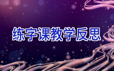 练字课教学反思