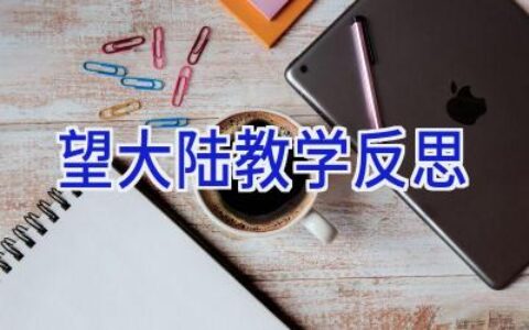 望大陆教学反思