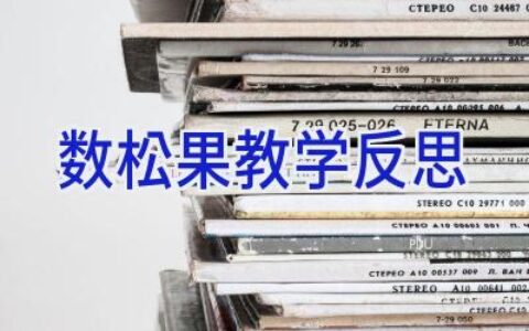 数松果教学反思