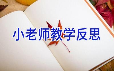 小老师教学反思