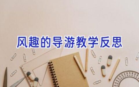 风趣的导游教学反思