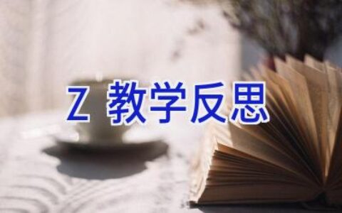 Z教学反思