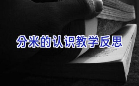 分米的认识教学反思