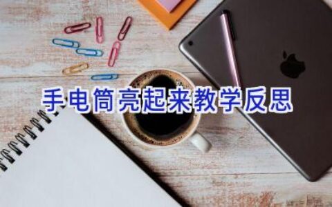 手电筒亮起来教学反思