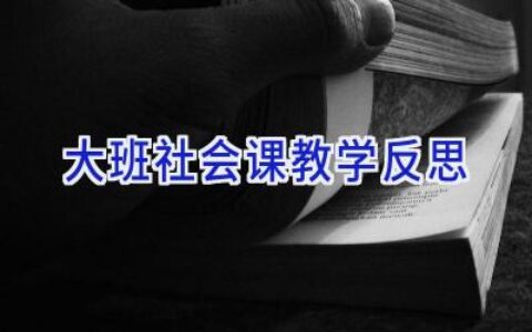 大班社会课教学反思