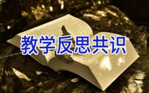 教学反思共识
