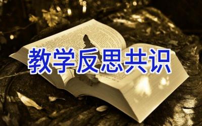 教学反思共识