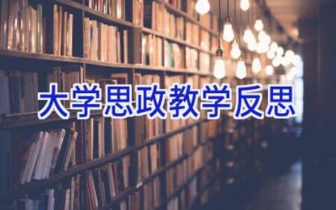 大学思政教学反思