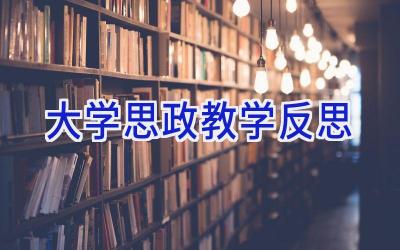 大学思政教学反思