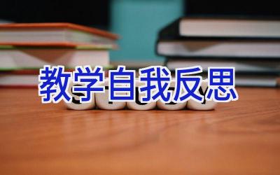 教学自我反思