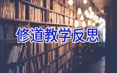 修道教学反思