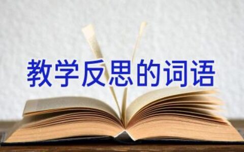 教学反思的词语