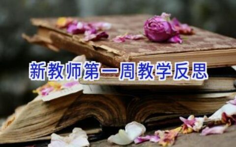 新教师第一周教学反思