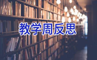 教学周反思