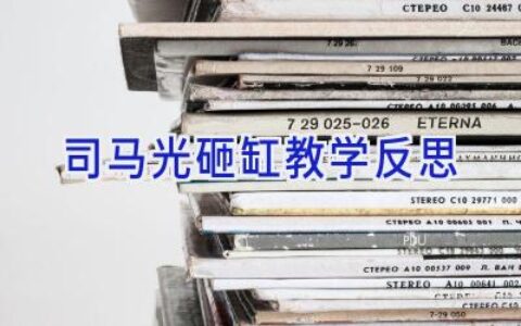 司马光砸缸教学反思