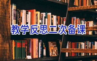 教学反思二次备课