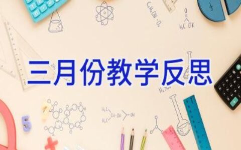 三月份教学反思