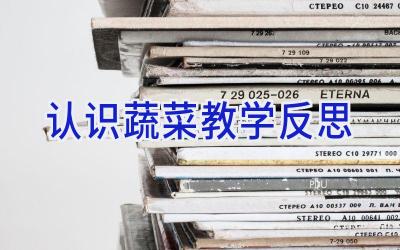 认识蔬菜教学反思