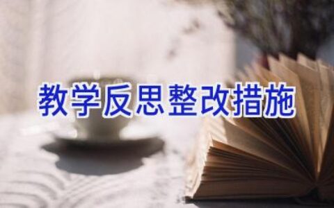 教学反思整改措施