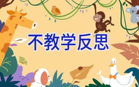 不教学反思