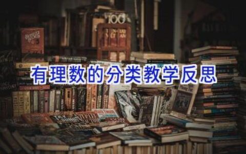 有理数的分类教学反思