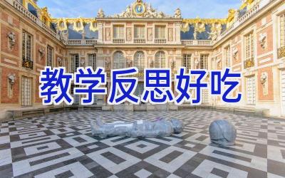 教学反思好吃