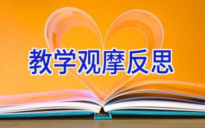 教学观摩反思