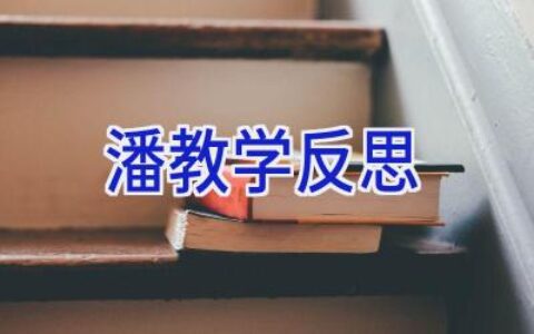 潘教学反思