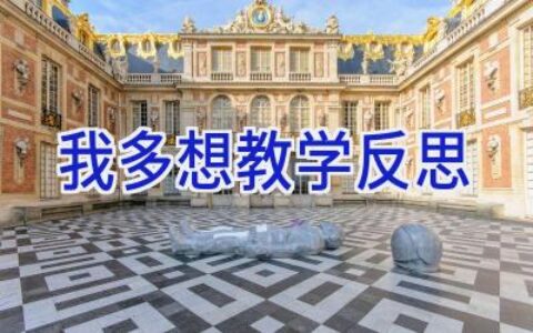 我多想教学反思