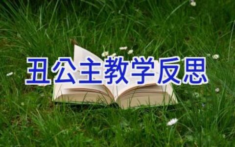 丑公主教学反思