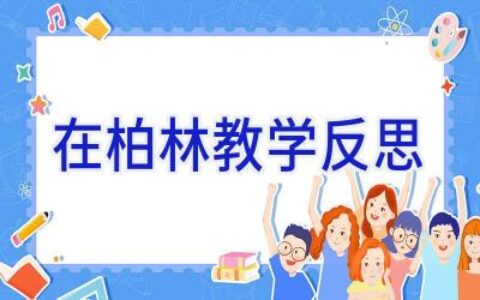 在柏林教学反思