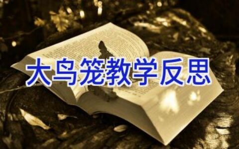 大鸟笼教学反思