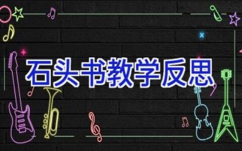 石头书教学反思