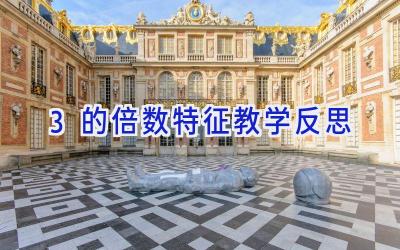 3的倍数特征教学反思