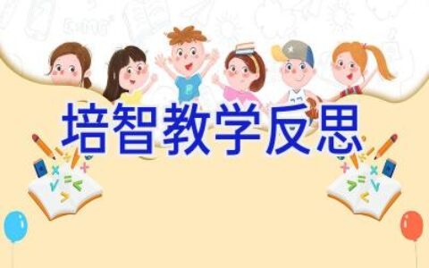 培智教学反思