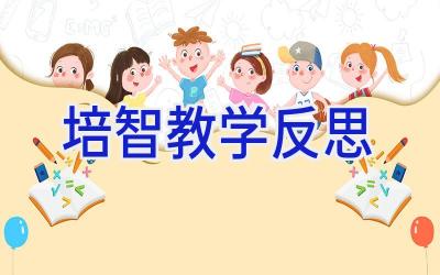 培智教学反思