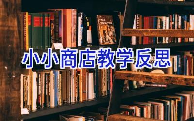 小小商店教学反思