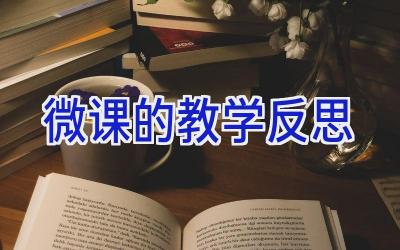 微课的教学反思
