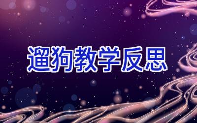 遛狗教学反思