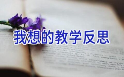 我想的教学反思