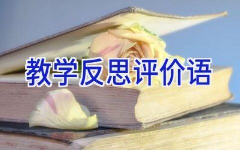 教学反思评价语