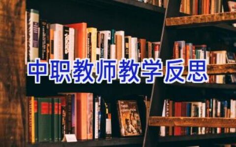 中职教师教学反思