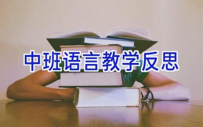 中班语言教学反思