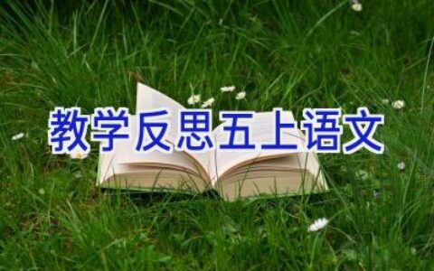 教学反思五上语文