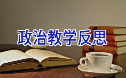 政治教学反思